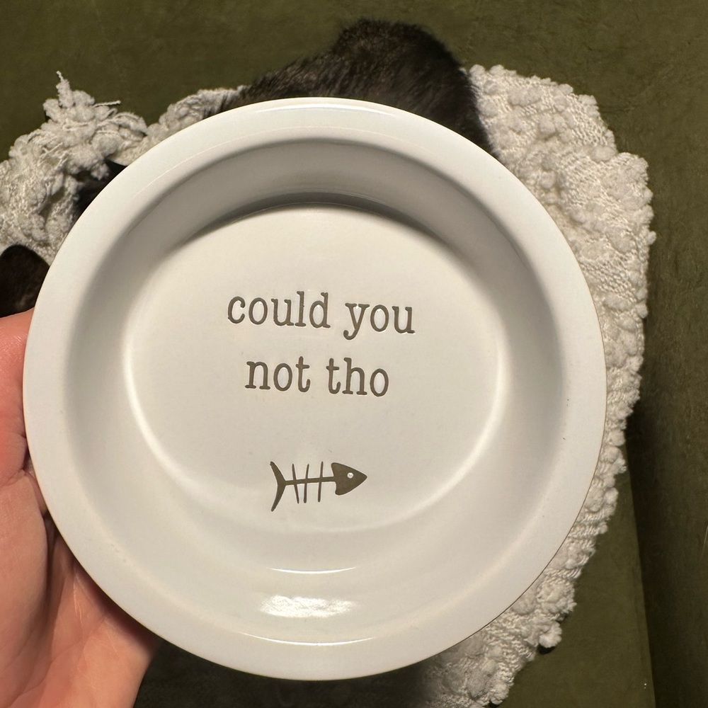 Whisker City Ceramic Cat Food Bowl